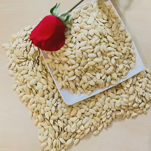 فروش ویژه کدو + قيمت خرید به صرفه