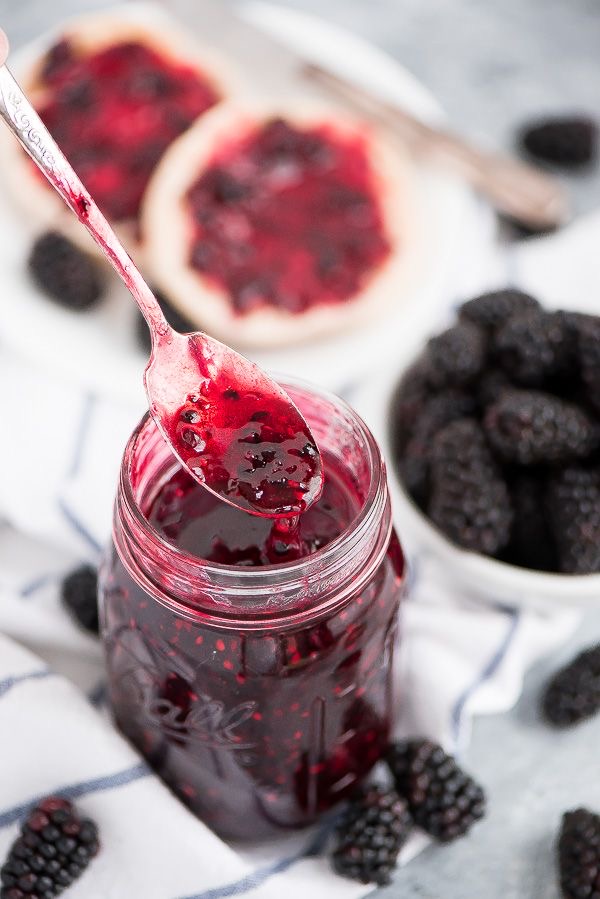 خرید و فروش مربا شاه توت سیاه با شرایط فوق العاده