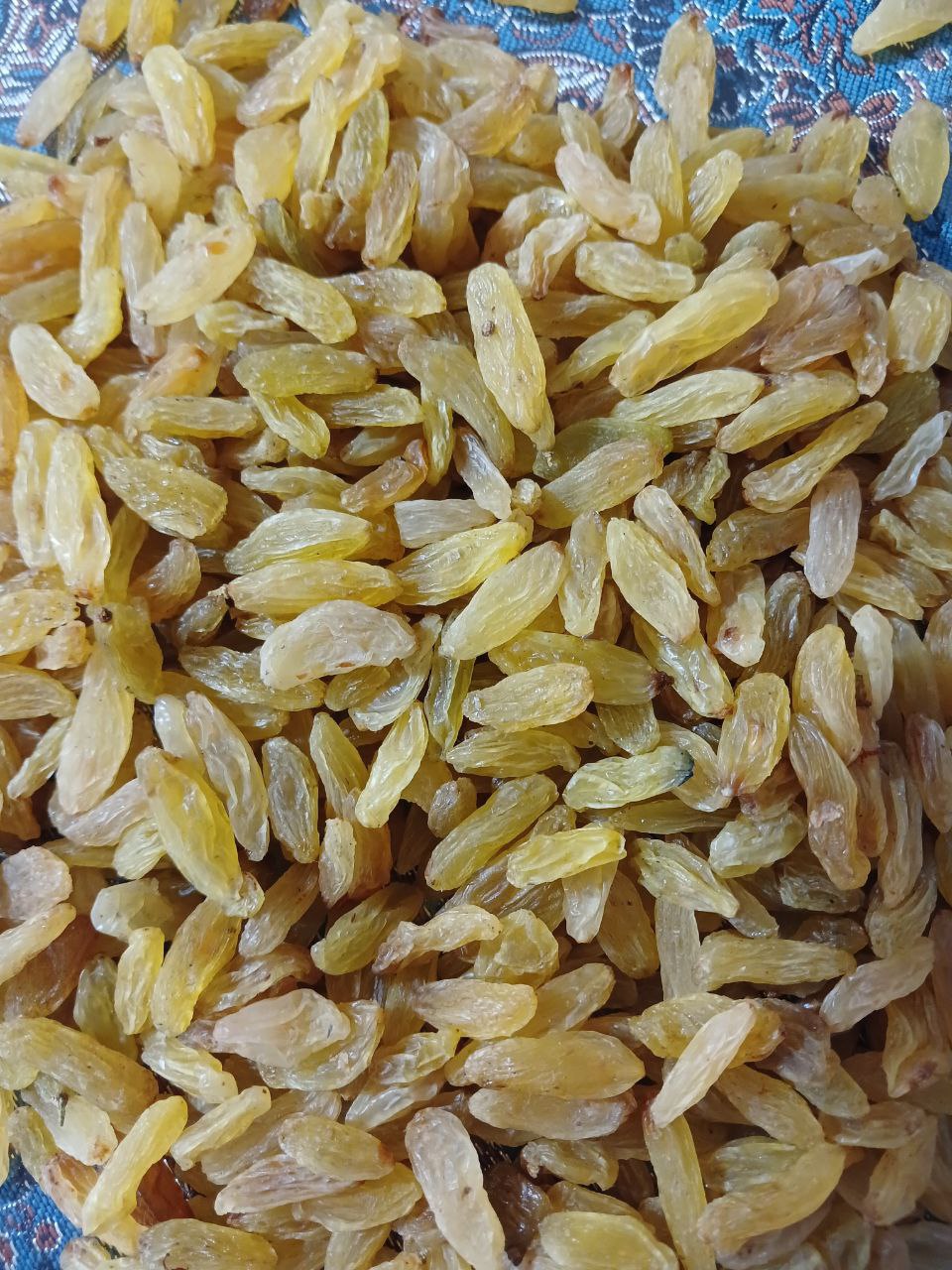 خرید امن کشمش زرد قلمی صادراتی