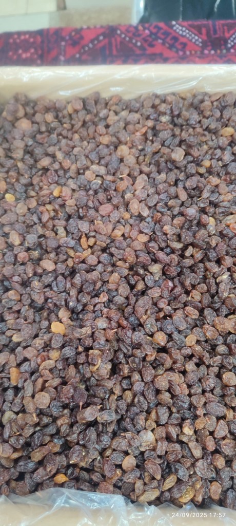 خرید ویژه کشمش پلویی آفتابی + فروش عمده
