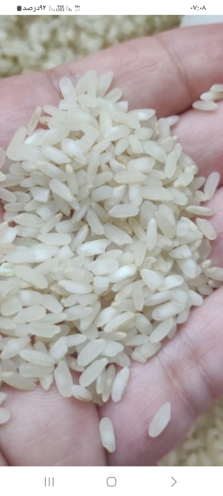 برنج کامفیروزی اعلا