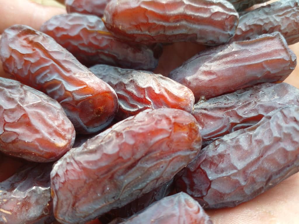 خرید خرمای فله پیارم
