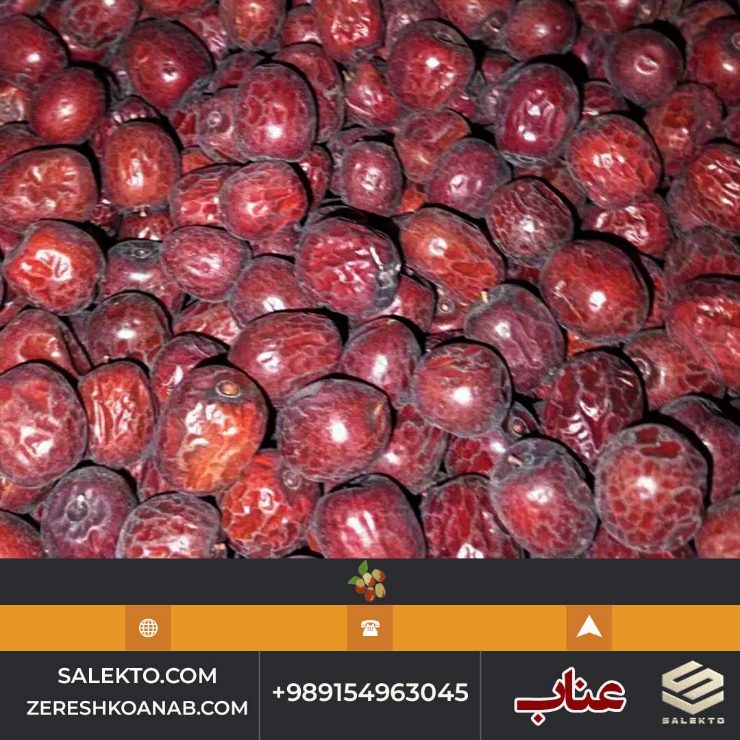 عناب امسالی خراسان جنوبی برداشت مستقیم از باغ دار + فروش فوق‌العاده