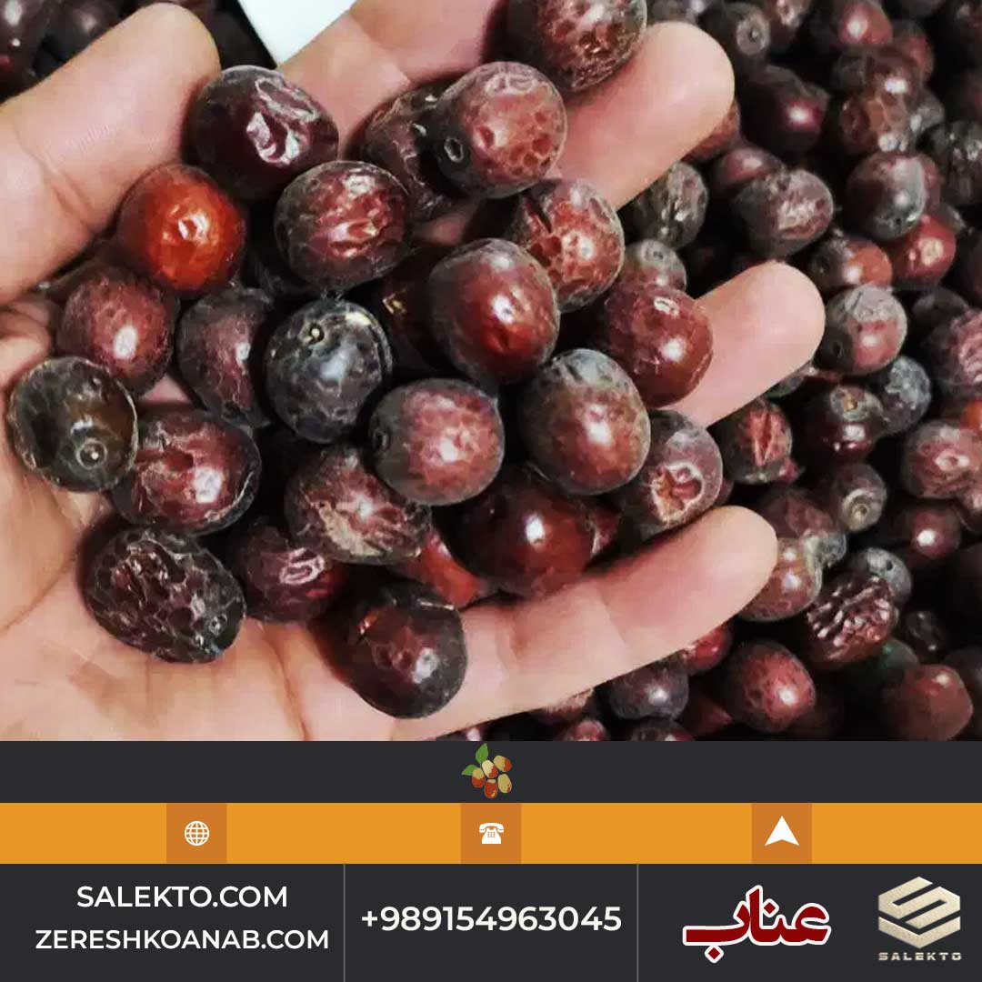 عناب امسالی ارگانیک بیرجند با دانه‌ های درشت و پوسته نازک + قیمت مقرون‌ به‌ صرفه