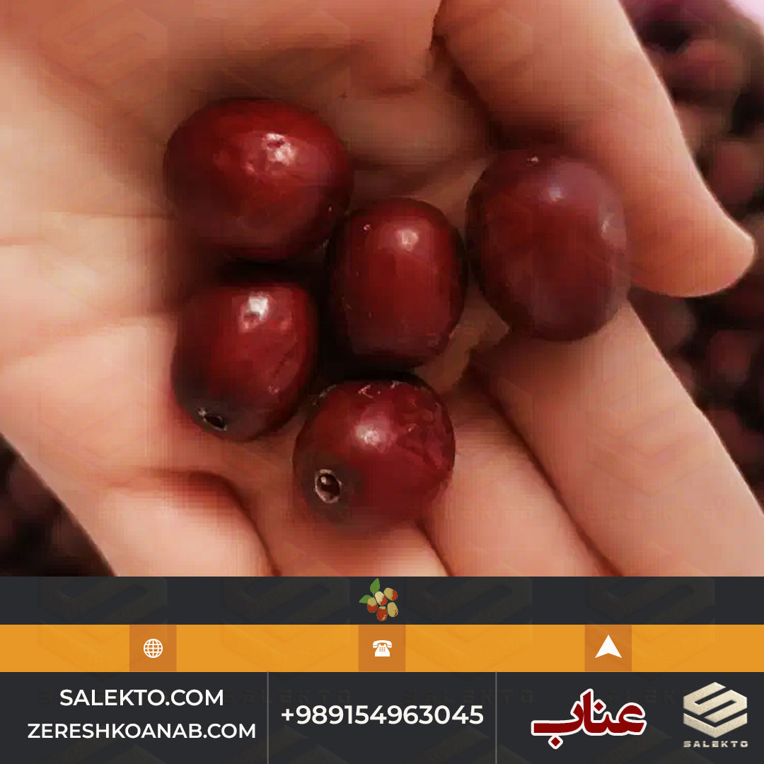 عناب امسالی قائنات برای دمنوش و خوراکی‌ های سالم + فروش ویژه