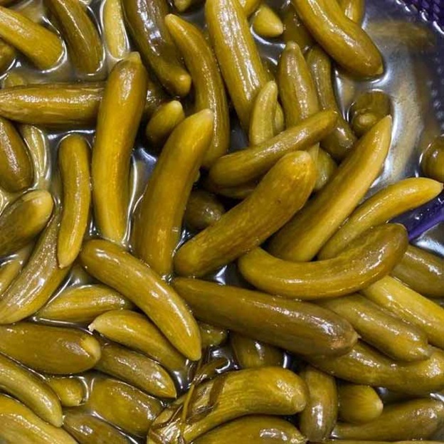 قیمت باور نکردنی خیارشور نول + فروش عمده