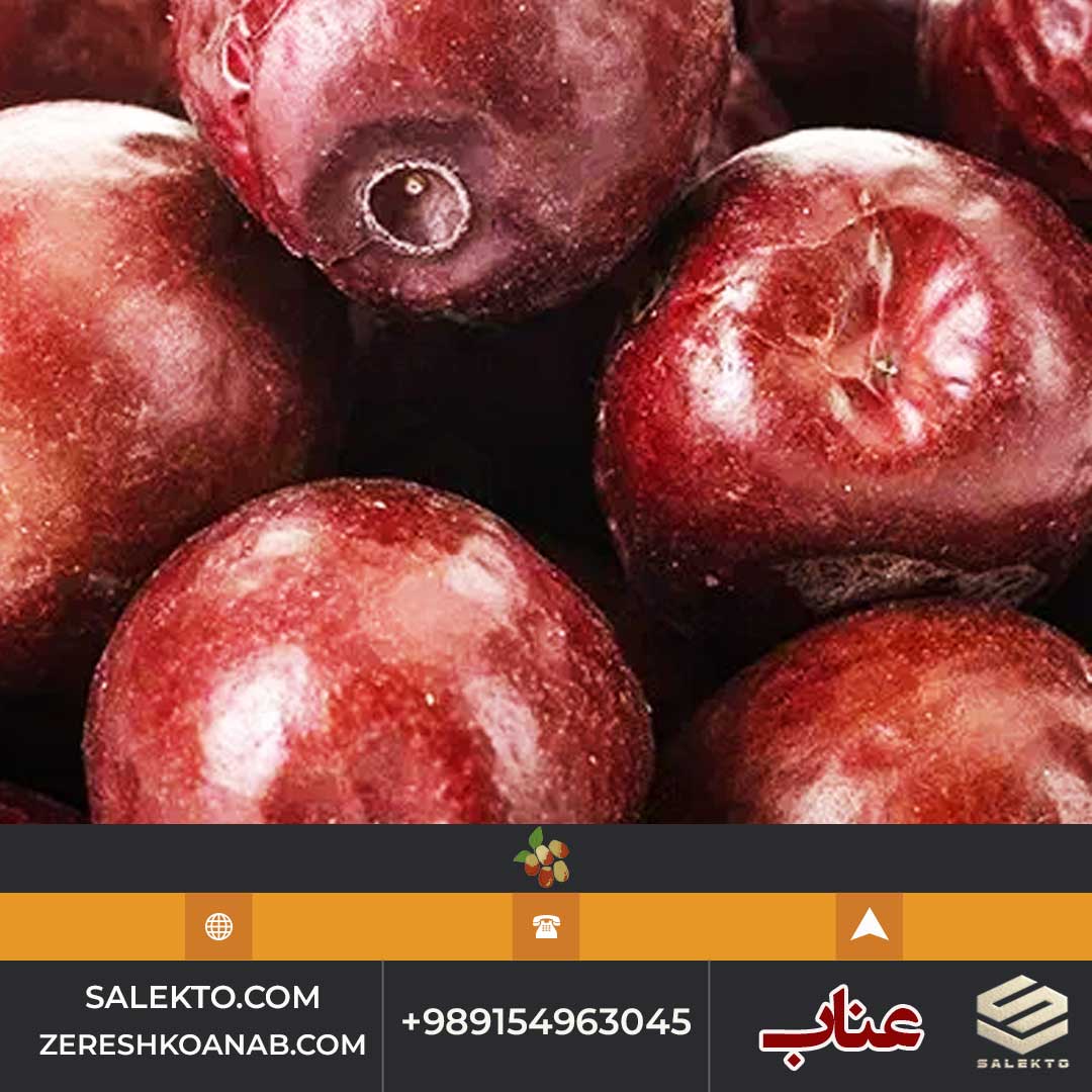 عناب امسالی بیرجند بدون مواد افزودنی و ارگانیک + خرید ارزان