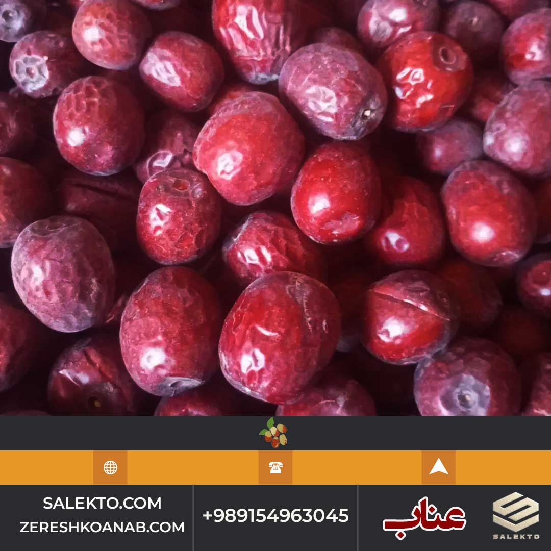 عناب امسالی بیرجند کیفیت صادراتی + شرایط استثنائی