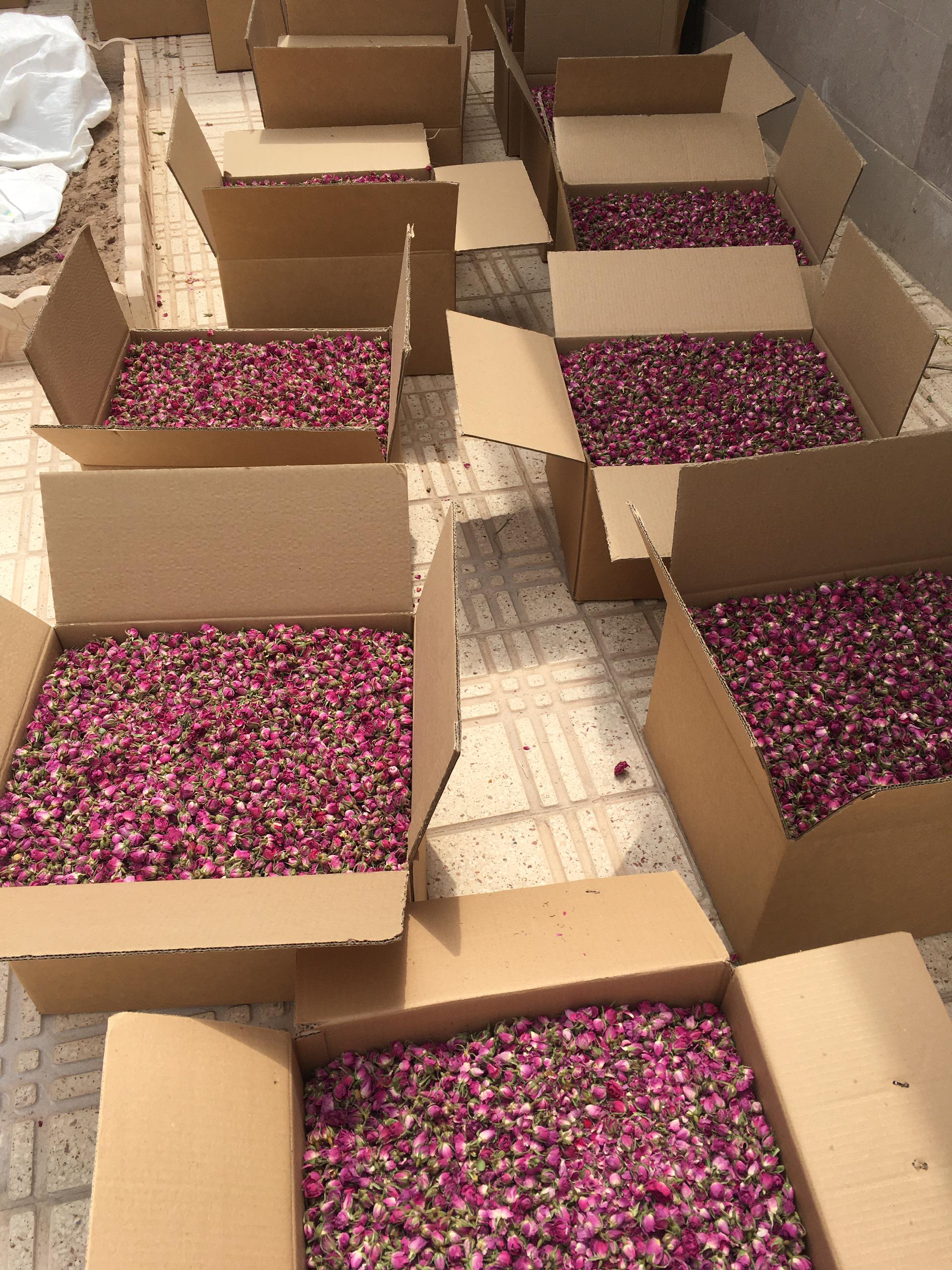لیست قیمت غنچه گل محمدی خشک + با شرایط ویژه