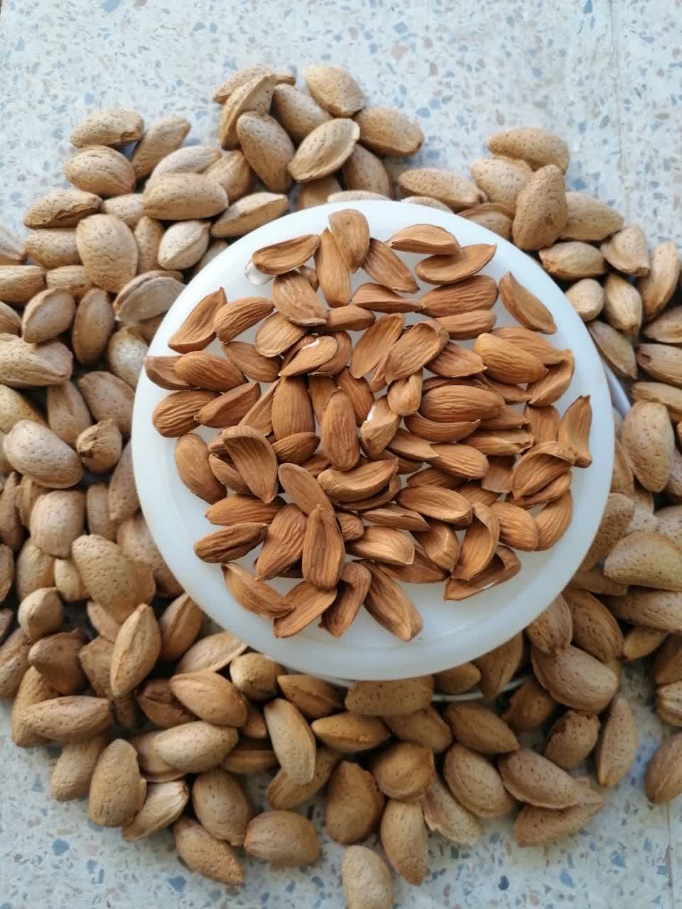 قیمت مغز بادام مامایی صادراتی 90 دانه + فروش