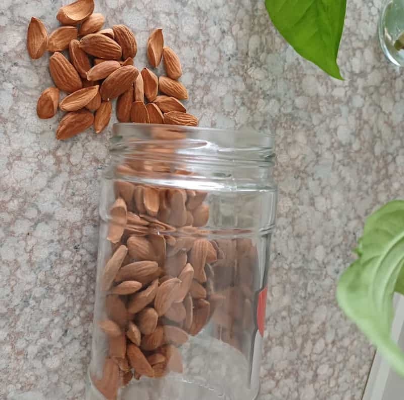 فروش و قیمت مغز بادام درختی