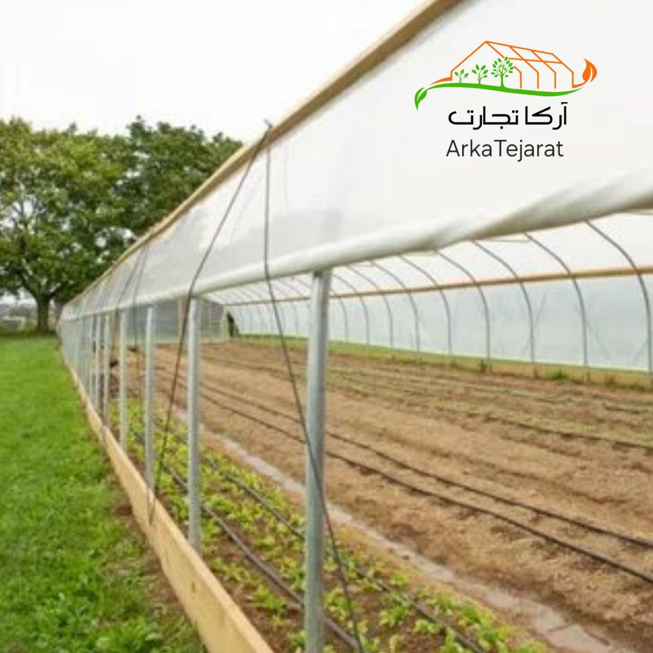 خرید پلاستیک گلخانه یووی دار با بهترین قیمت بازار