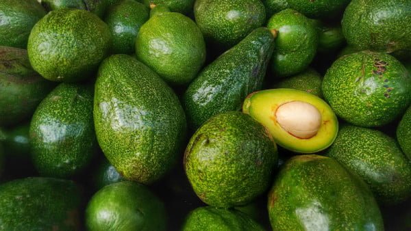 آووکادو صارداتی + فروش آووکادو سراسر کشور