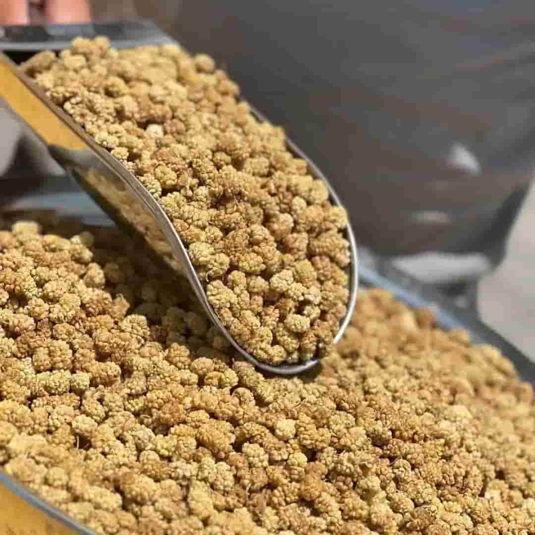 خرید و قیمت انواع توت خشک درجه ۱