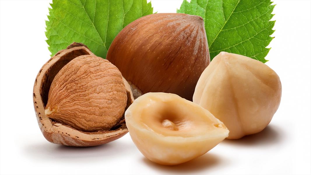 قیمت مغز فندق جنگلی + خرید باورنکردنی