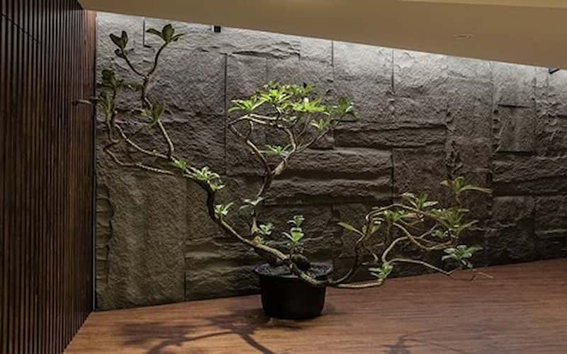 خرید و قیمت سنگ اسلب سخره ای + فروش عمده