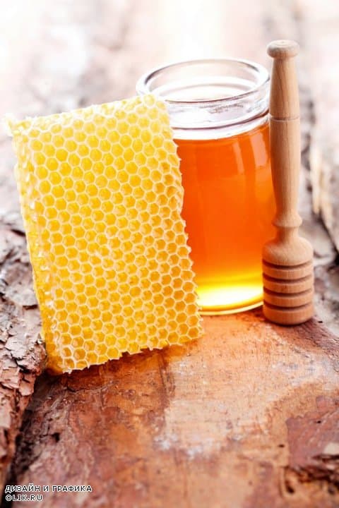 فروشگاه آنلاین عسل صنعتی + قیمت لحظه ای