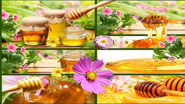 قیمت باور نکردنی عسل چند گیاه + فروش عمده