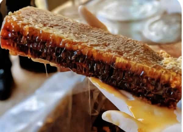 خرید عسل محلی با قیمت ویژه