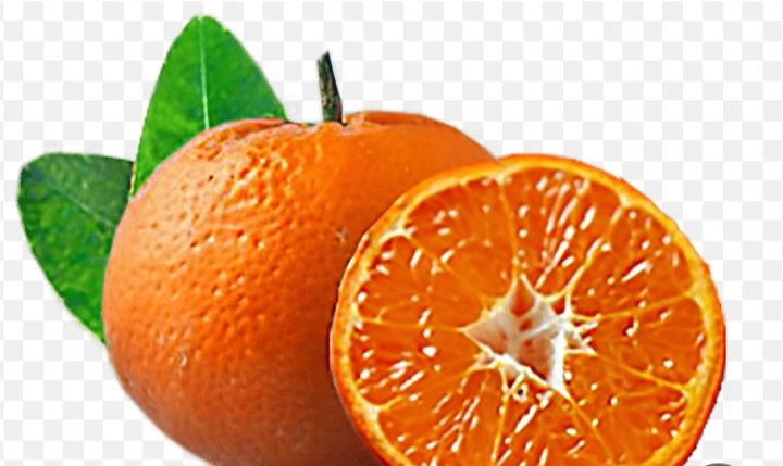 فروش نارنگی ژاپنی درجه یک شمال ویژه صادرات