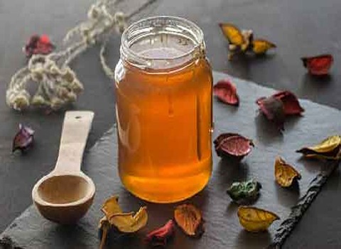 خرید و قیمت عسل شهد تغذیه ای + فروش صادراتی