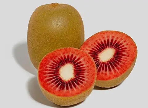 قیمت و خرید کیوی ارگانیک تو سرخ + فروش ارزان