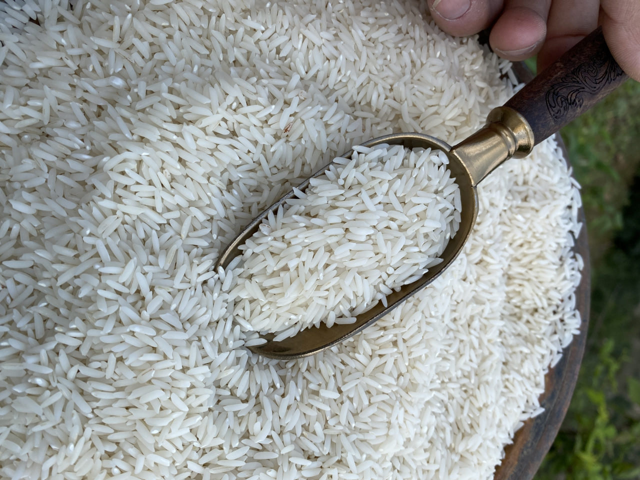 فروش روز برنج محلی کامفیروز خوش پخت