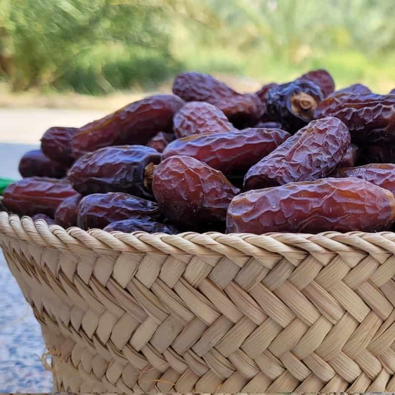 خرید خرما + قیمت فروش استثنایی