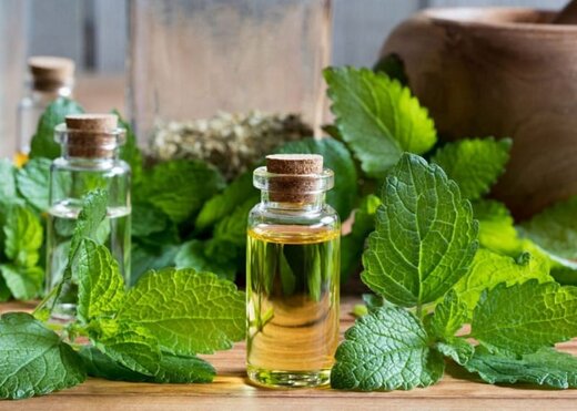 فروش عمده عصاره بادرنجبویه مایع گرید A