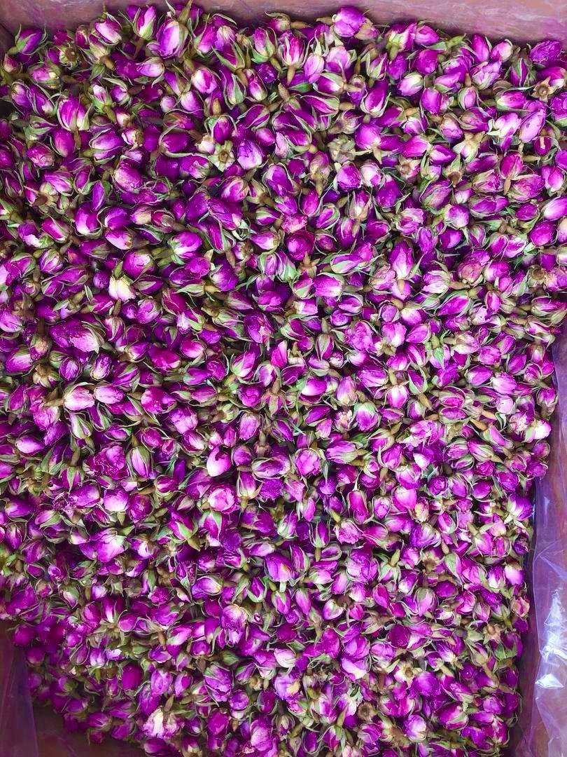 خرید غنچه گل محمدی طبیعی و سفارش آنلاین