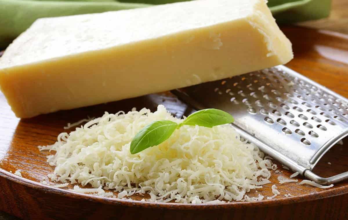 خرید و قیمت پنیر پارمسان + فروش عمده