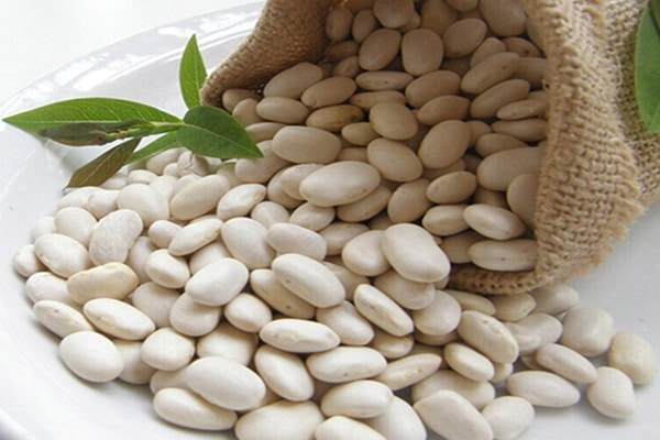 قیمت رقابتی لوبیا سفید صادراتی + خرید دسته اول