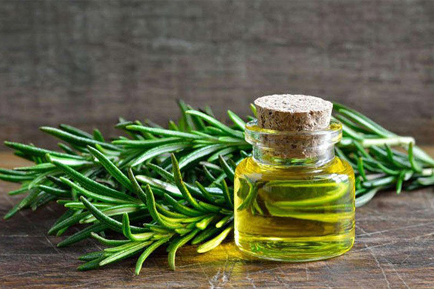 فروش عمده عصاره رزماری مایع گرید A