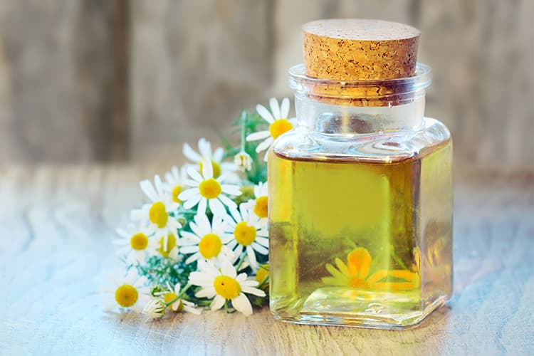 فروش عمده عصاره بابونه شیرازی مایع گرید A