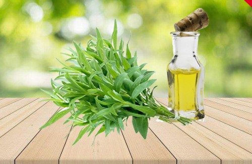 فروش عمده عصاره مرزه مایع گرید A