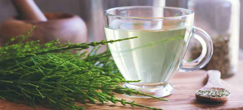 فروش عمده عصاره دم اسب مایع گرید A
