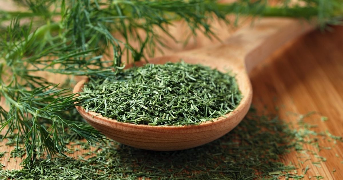 قیمت روز شوید خشک اعلا