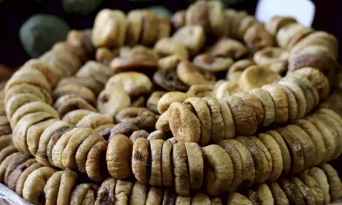 خرید انجیر آردی معمولی