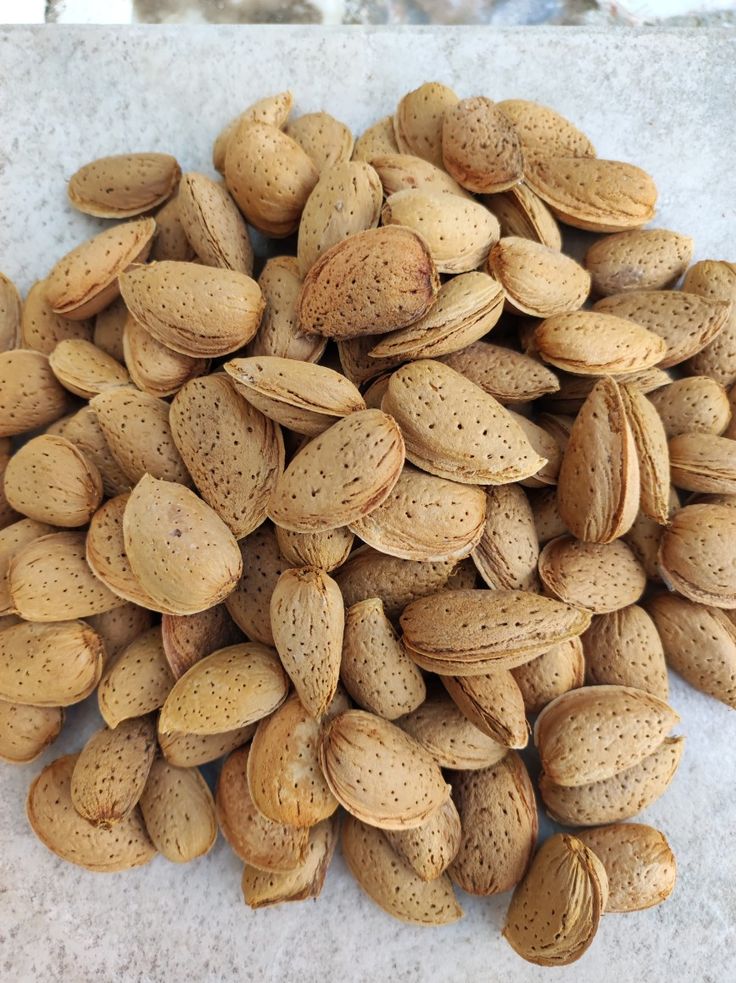 بادام درختی مرغوب + فروش ویژه