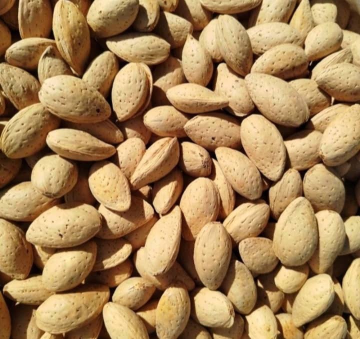 بادام سنگی آبی