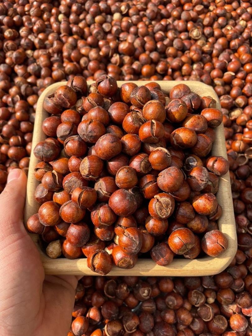 فروش فندق خشک دهان باز شده + کیفیت عالی