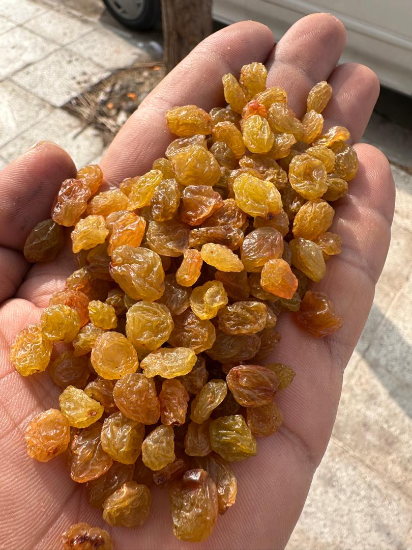 کشمش تیزابی درجه یک