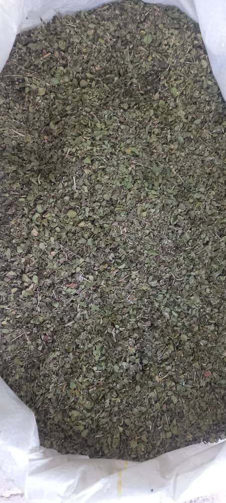 آویشن باغی فارس