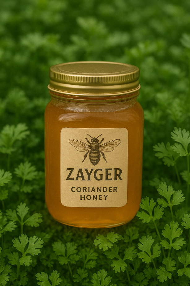 قیمت شگفت انگیز عسل گشنیز زایگر + فروش استثنایی