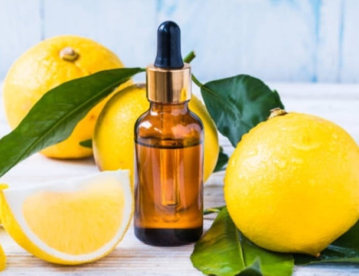 قیمت خرید کنسانتره لیمو کلودی با فروش عمده