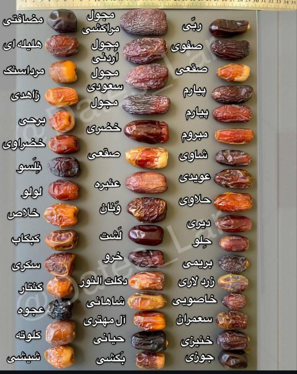 قیمت خرما زاهدی + کیفیت عالی