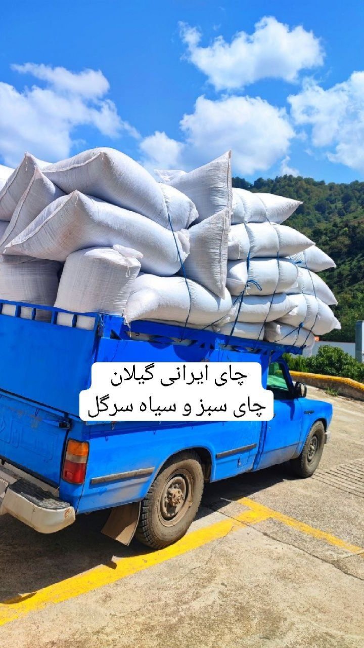 چای سنتی و محبوب گیلان