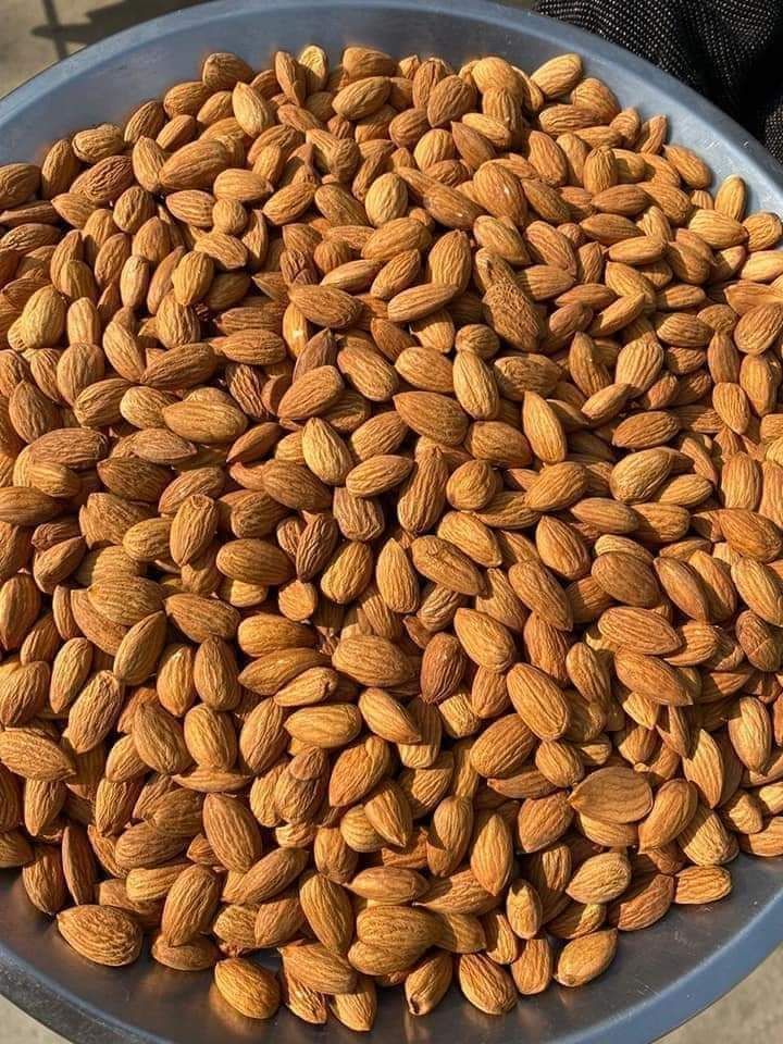 قیمت مغز بادام درختی