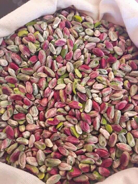مغز پسته اکبری + خرید