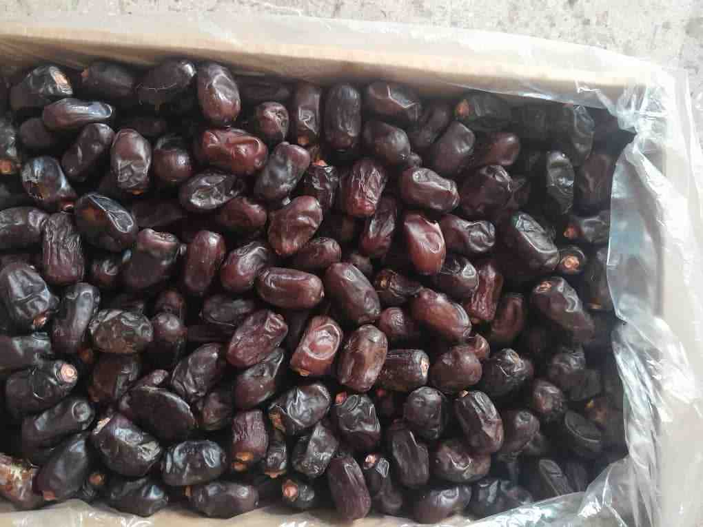 خرما‌ مضافتی ایرانشهر + فروش‌ استثنایی با قیمت‌ ارزان‌